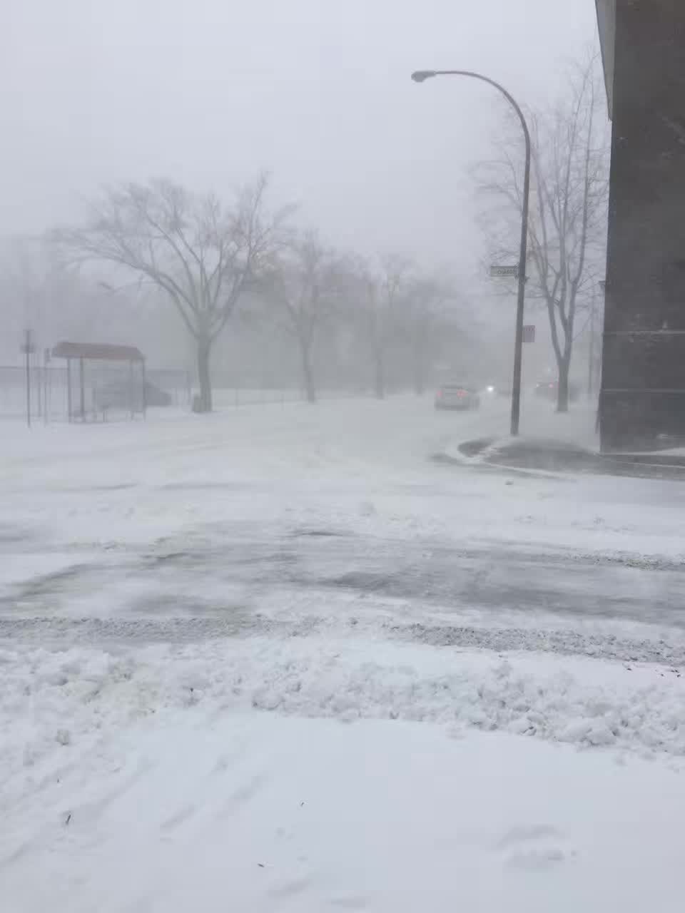 阳春三月的暴风雪