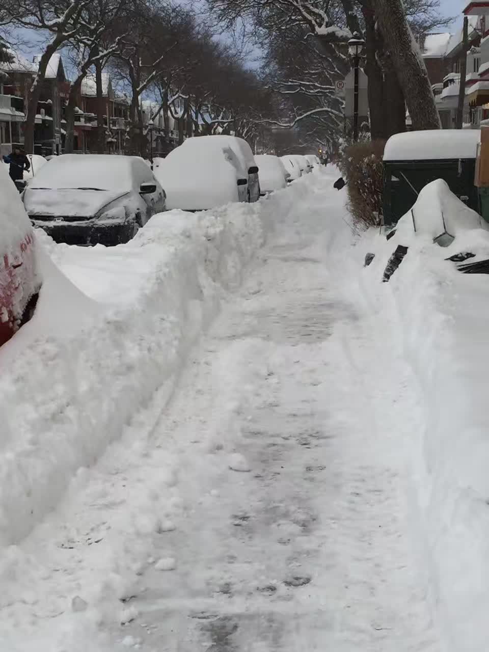 暴雪